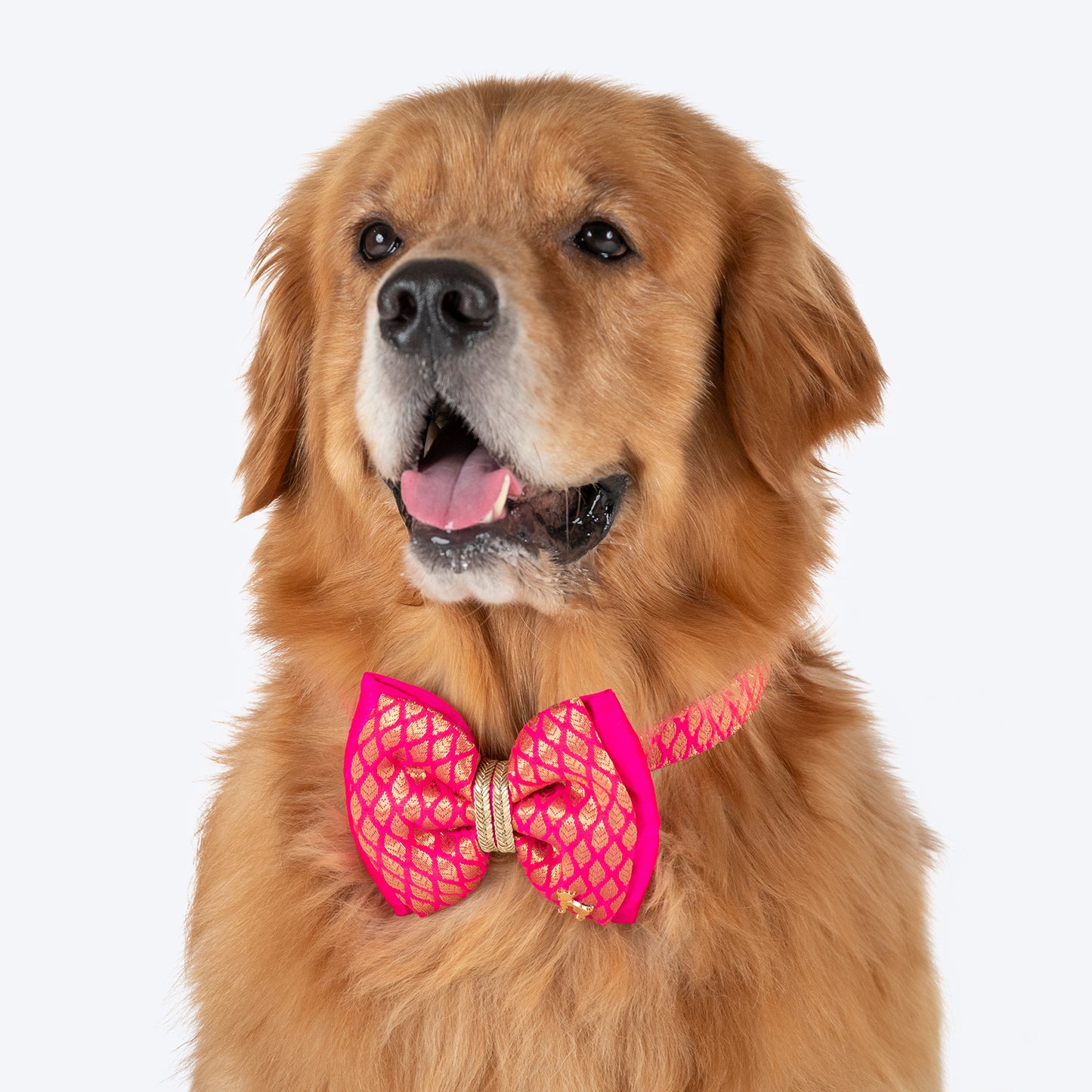HUFT Royal Rang Bow Tie With Strap For Dog - Pink - Heads Up For Tails