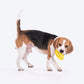 HUFT Goalie Chew Toy For Dog - Yellow