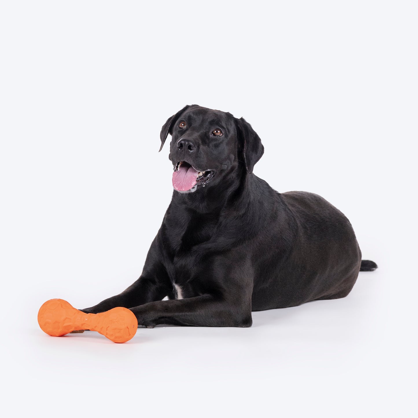 HUFT Squeaky Chew Toy For Dog - Orange - Heads Up For Tails