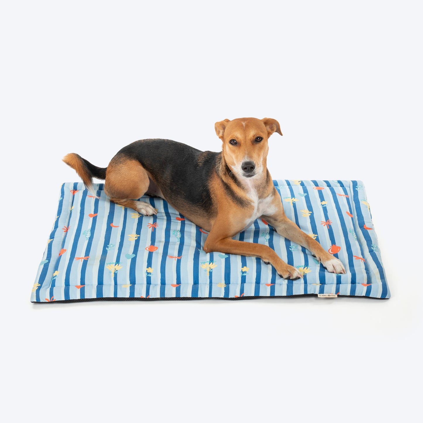 HUFT X Pinklay Strut In Stripes Mat For Dog - Blue - Heads Up For Tails