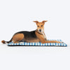 HUFT X Pinklay Strut In Stripes Mat For Dog - Blue - Heads Up For Tails