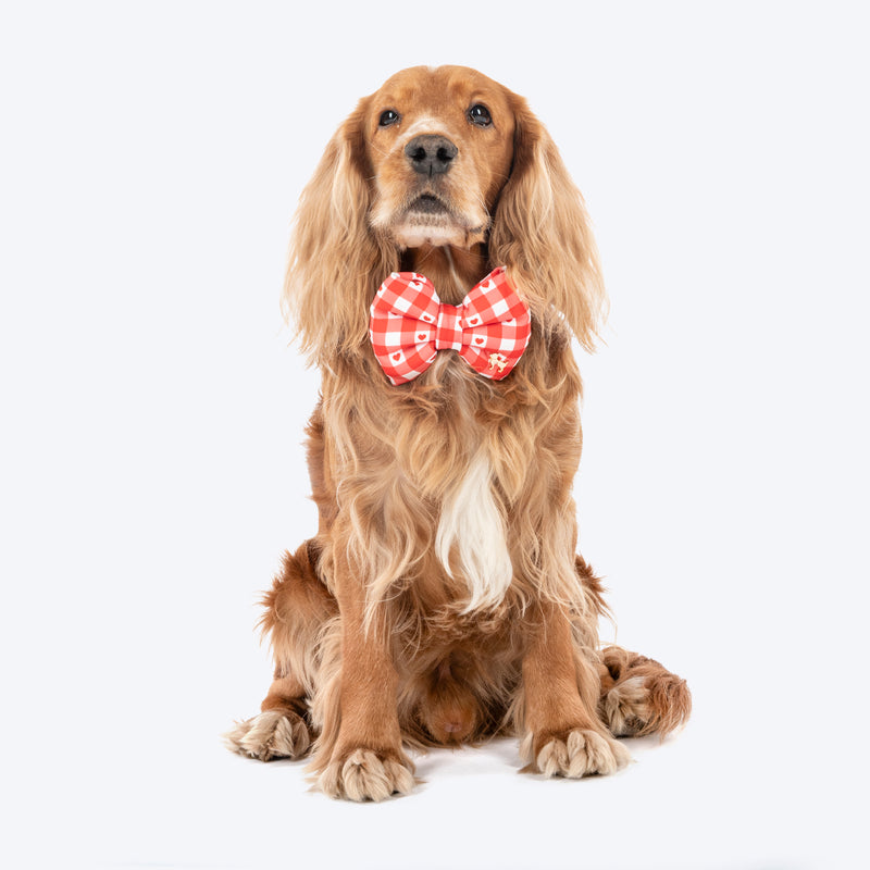 HUFT Jingle Hearts Collar With Bow Tie For Dog - Red & White - Heads Up For Tails