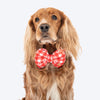 HUFT Jingle Hearts Collar With Bow Tie For Dog - Red & White - Heads Up For Tails