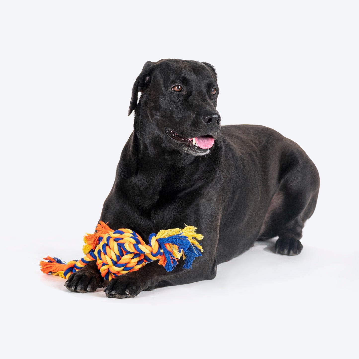 HUFT Tuggables Rope Toy For Dog - Orange & Blue - Heads Up For Tails