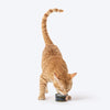 Meowsi by HUFT Chicken Breast in Broth Canned Cat Wet Food, 80 gm, with vitamins and minerals, grain-free.