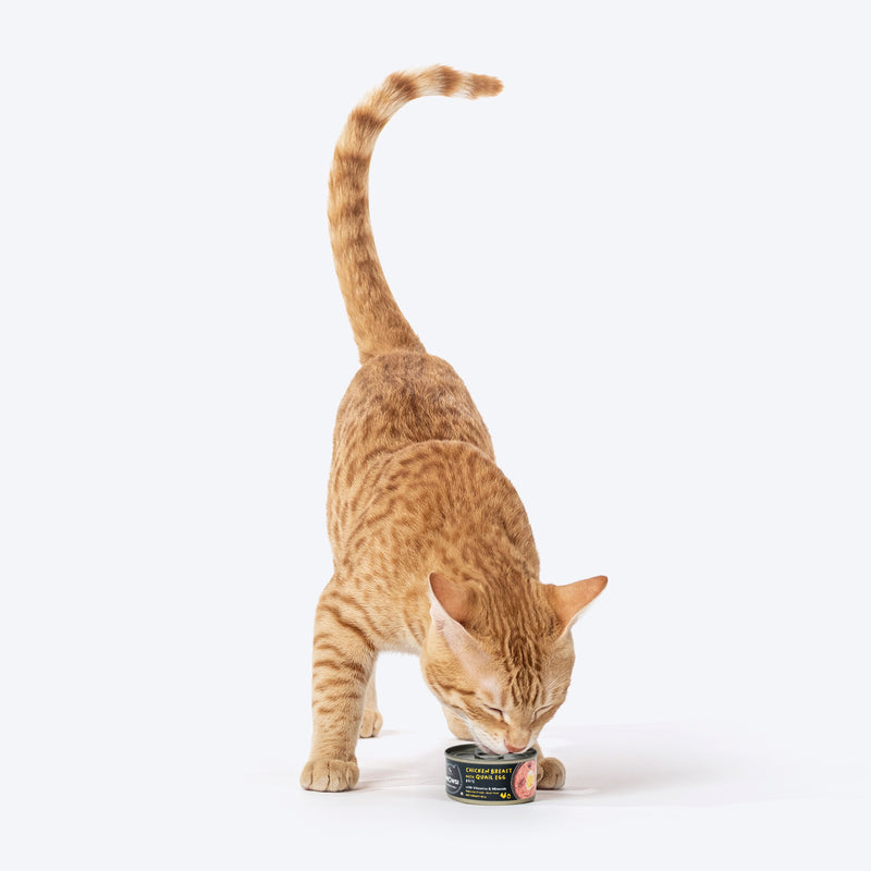 Meowsi by HUFT Chicken Breast with Quail Egg pâté, 80 gm can, grain-free, with vitamins and minerals for cats.