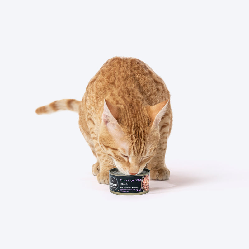Meowsi by HUFT Tuna & Chicken in Broth Canned Cat Wet Food, 80 gm, with vitamins and minerals, grain-free.