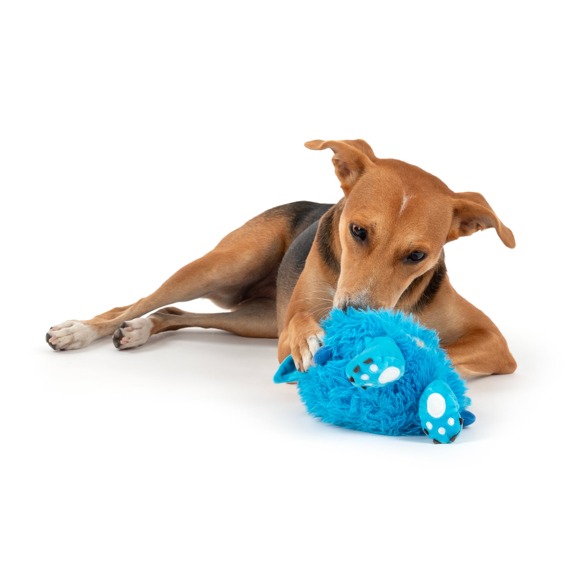 HUFT Toothy Nomster Plush Toy For Dog - Blue - Heads Up For Tails