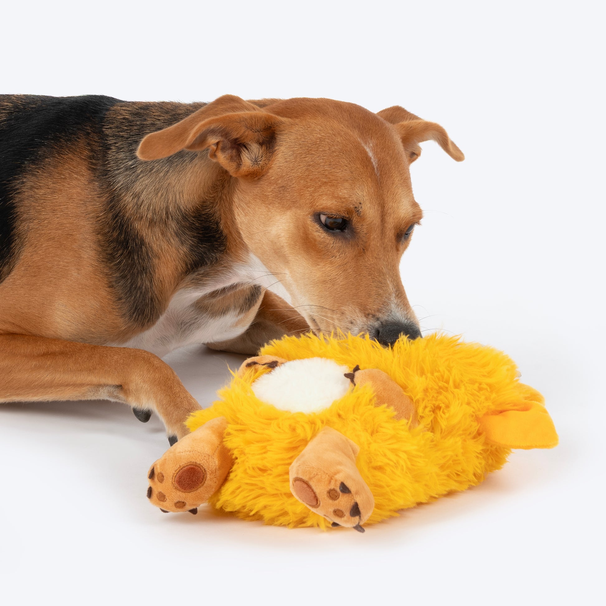 HUFT Toothy Nomster Plush Toy For Dog - Yellow - Heads Up For Tails