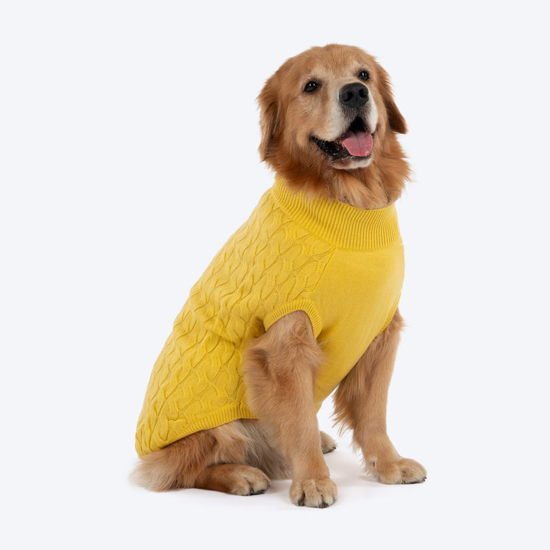 TLC Sunny Days Sweater For Dog - Yellow - Heads Up For Tails