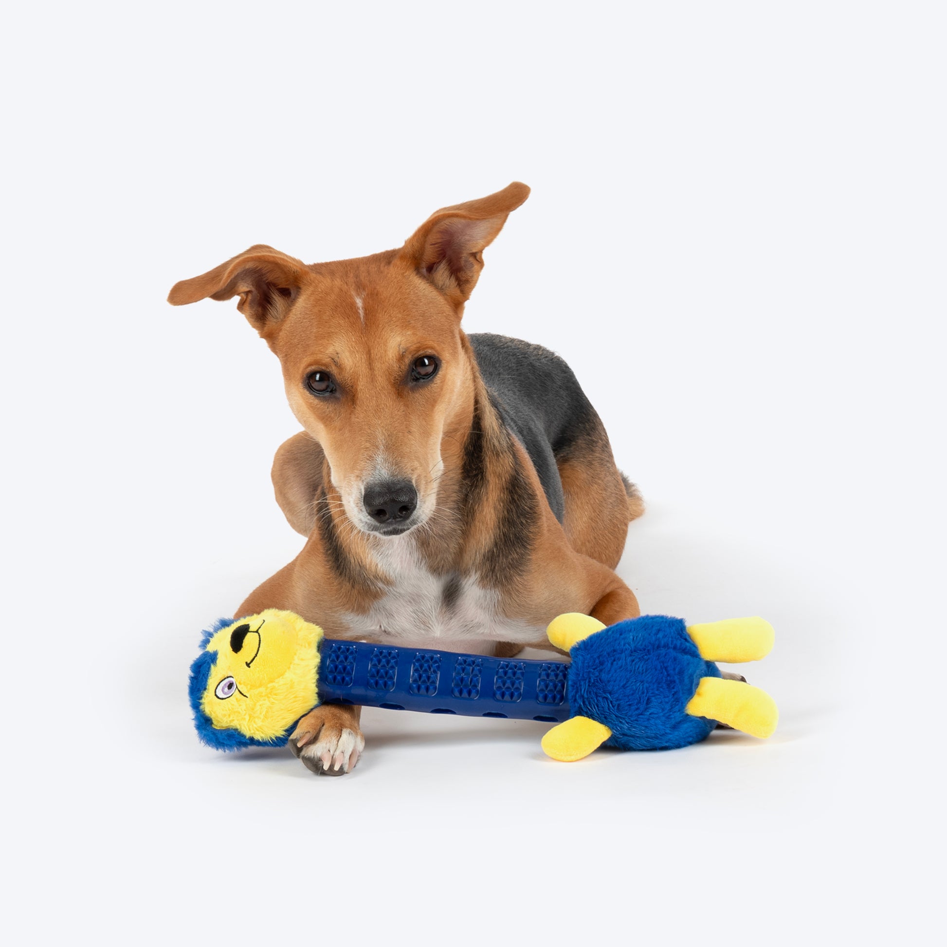 HUFT Lulu LongNeck Chew Toy For Dog - Navy Blue - Heads Up For Tails