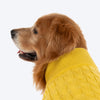 TLC Sunny Days Sweater For Dog - Yellow - Heads Up For Tails