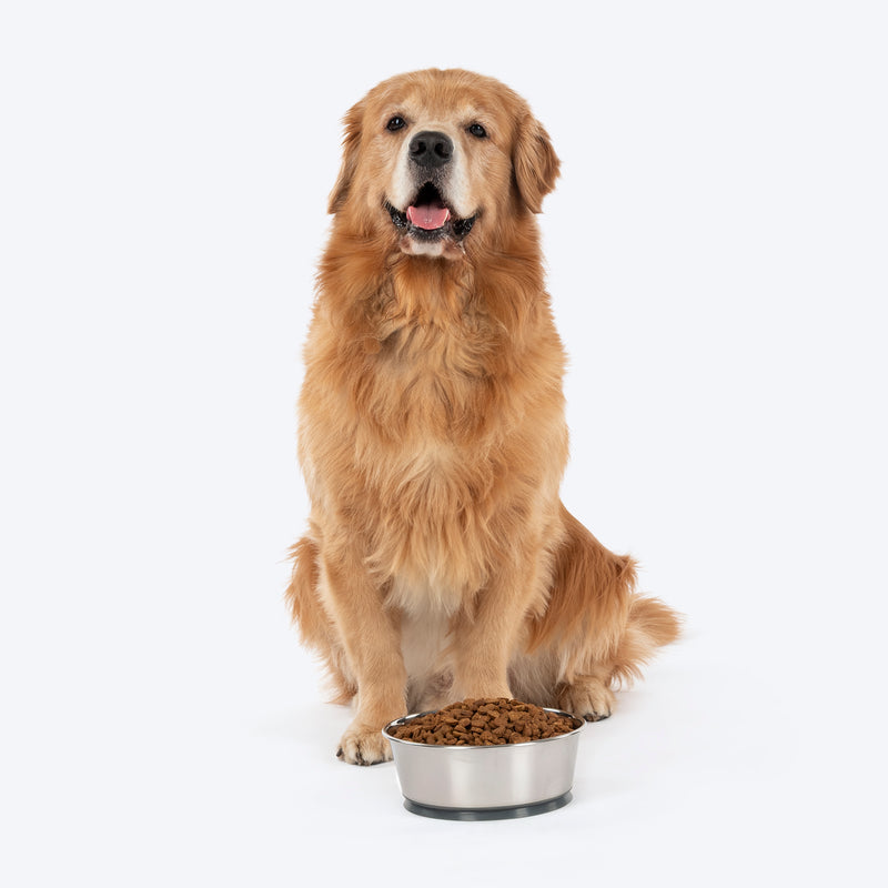 HUFT Suction Bowl For Dog - Grey - Heads Up For Tails