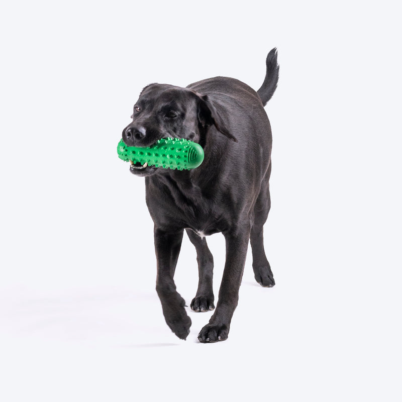 HUFT Squeak-N-Chew Cruiser Toy For Dog - Green - Heads Up For Tails