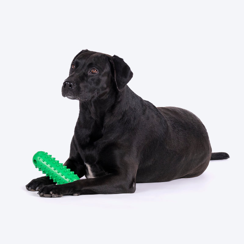 HUFT Squeak-N-Chew Cruiser Toy For Dog - Green - Heads Up For Tails