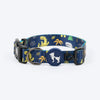 HUFT Dino Land Collar For Dog - Blue - Heads Up For Tails