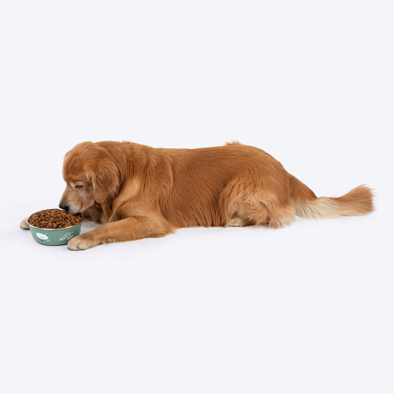 HUFT Ferns & Fur Printed Steel Bowl For Dog - Sage Green - Heads Up For Tails