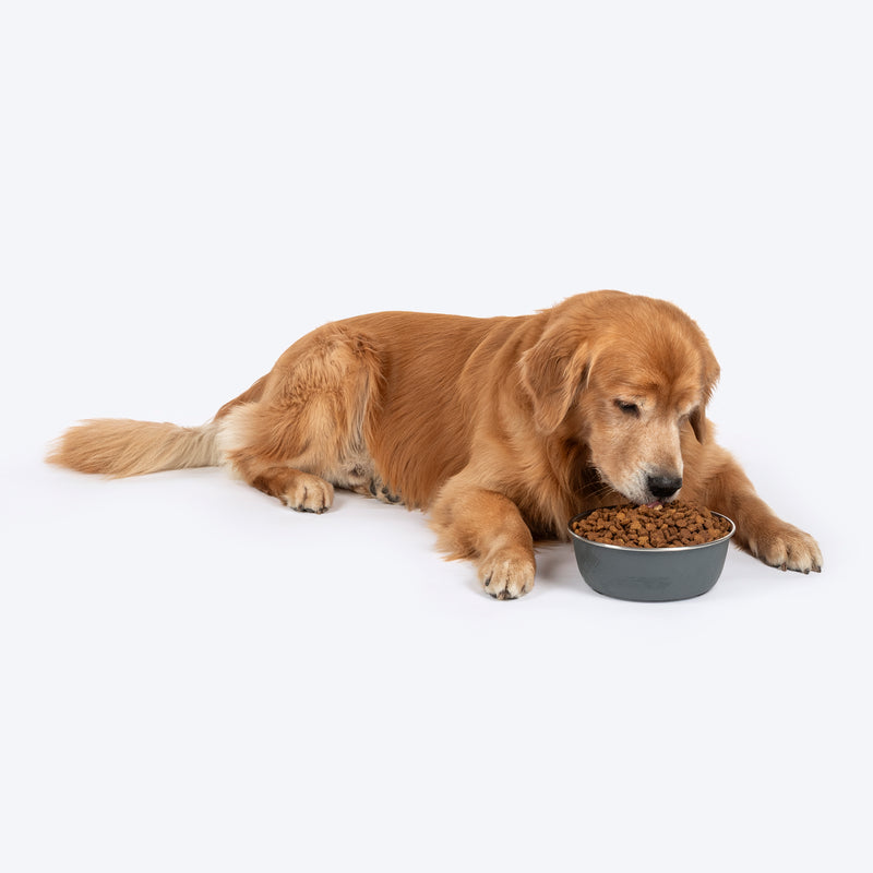 HUFT Sniff N' Snack Embossed Steel Bowl For Dogs - Grey - Heads Up For Tails