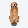 HUFT Sniff N' Snack Embossed Steel Bowl For Dogs - Grey - Heads Up For Tails