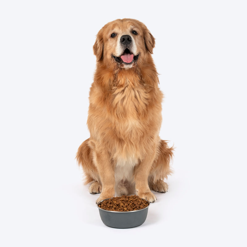 HUFT Sniff N' Snack Embossed Steel Bowl For Dogs - Grey - Heads Up For Tails