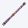 HUFT Playstripes Collar For Dog - Rust & Navy - Heads Up For Tails