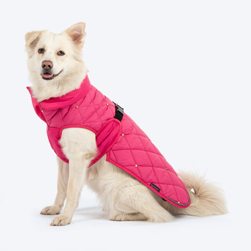 HUFT Starburst Snuggle Jacket For Dog - Pink - Heads Up For Tails