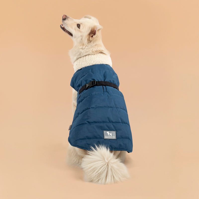 HUFT Snuggle Bug Jacket For Big Dog - Blue - Heads Up For Tails