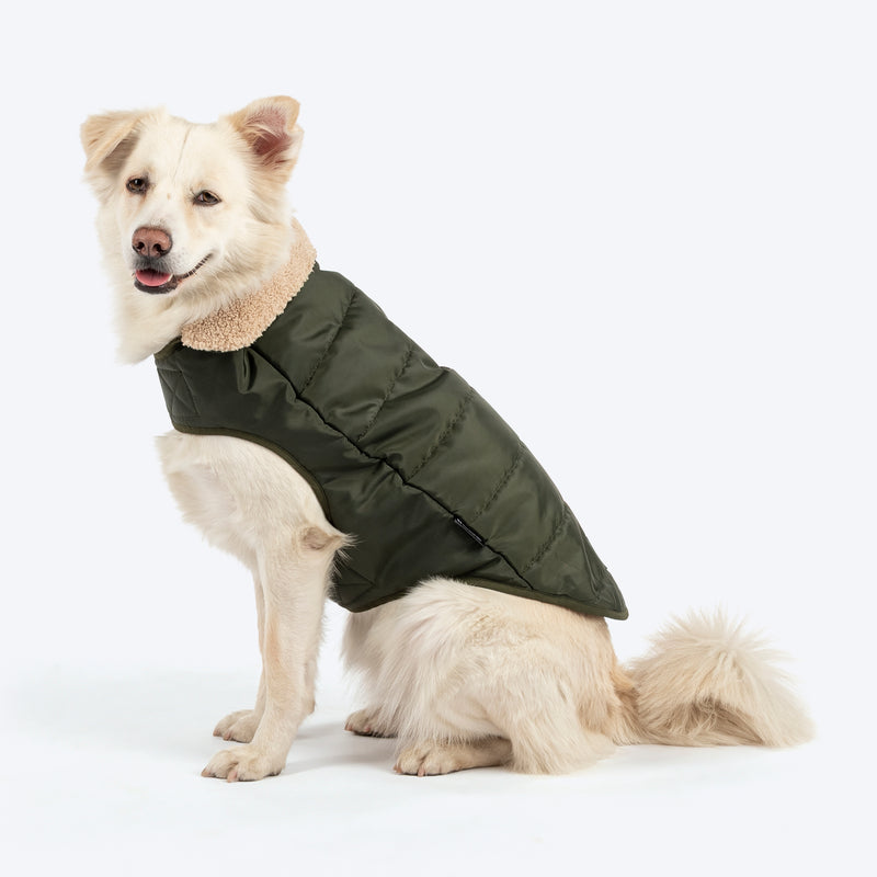 HUFT Puffer Paws Jacket For Big Dog - Green - Heads Up For Tails