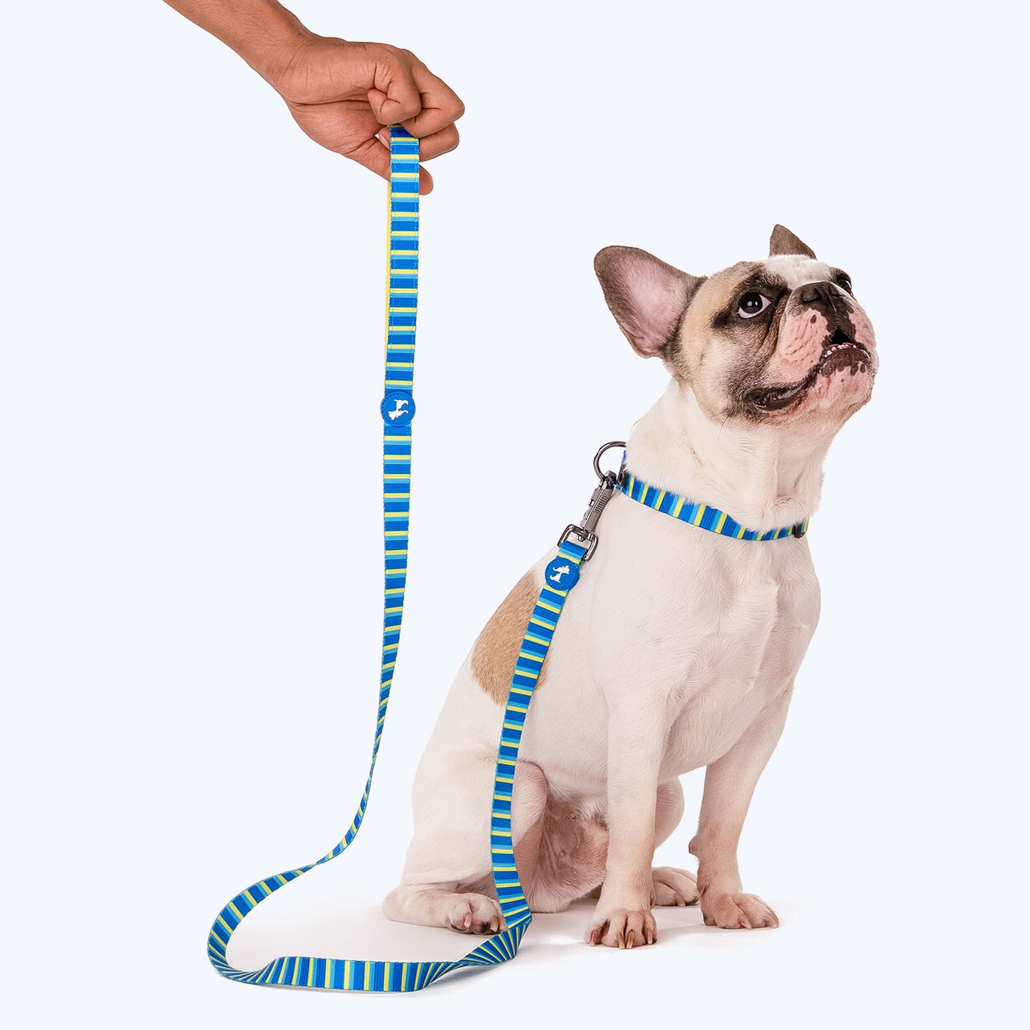 HUFT Blazing Blue Printed Dog Leash - Heads Up For Tails
