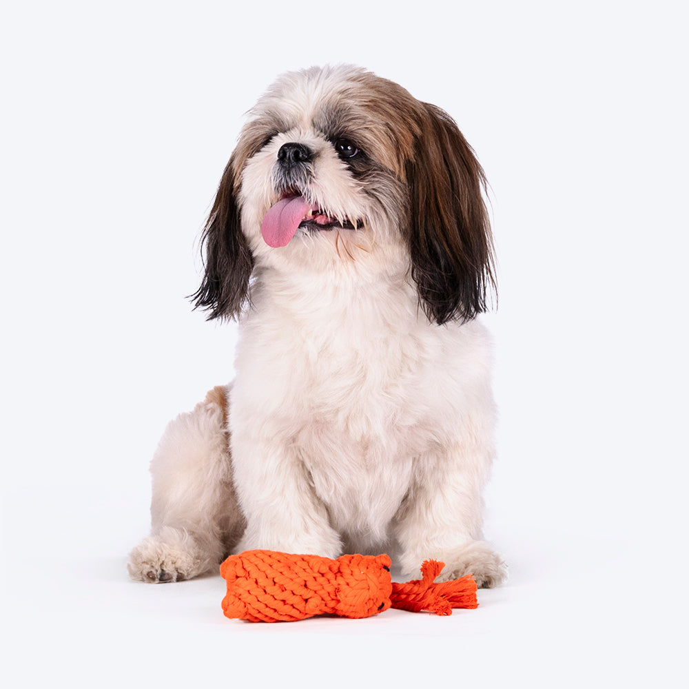 HUFT Tuggables Squirrel Rope Toy For Dog - Orange - Heads Up For Tails