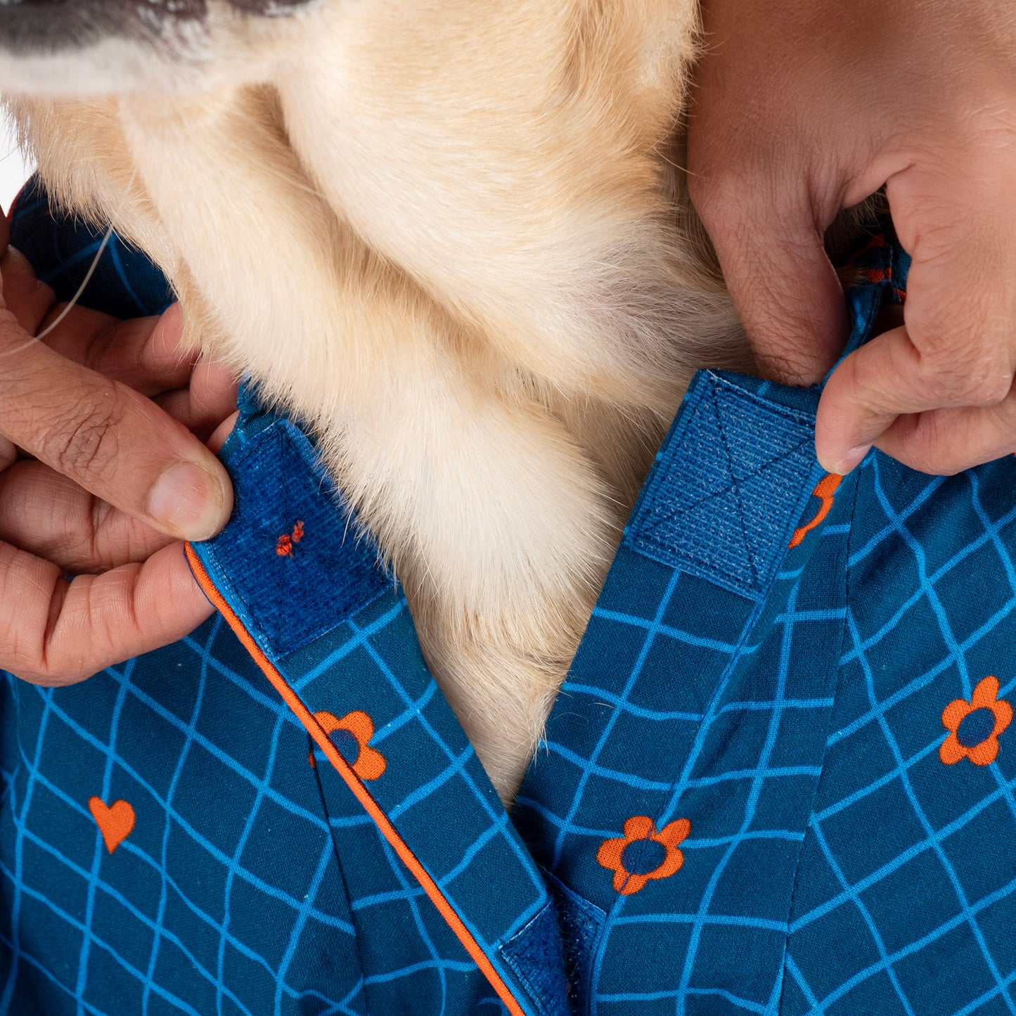 HUFT X Pinklay Hearts In Bloom Shirt For Dog - Blue & Orange - Heads Up For Tails