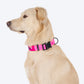 HUFT Personalised Basics Dog Collar - Pink - Heads Up For Tails