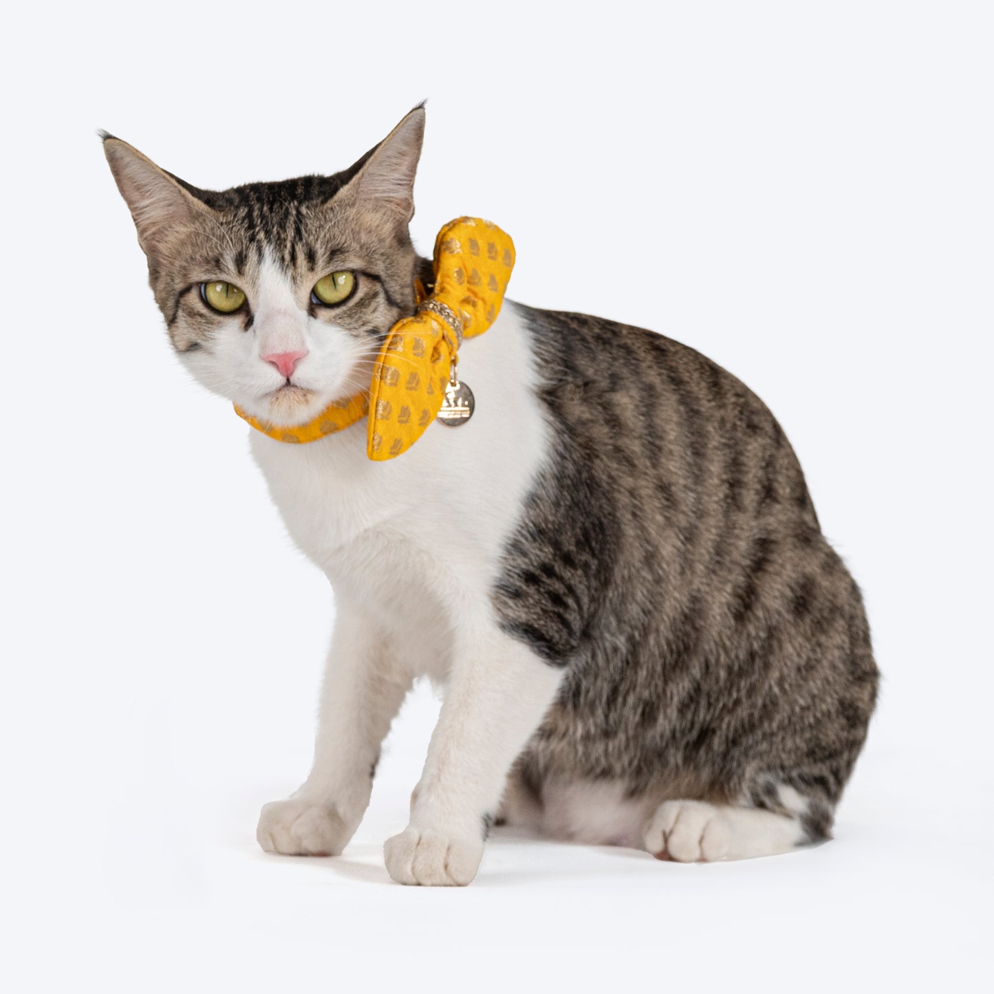 HUFT Brocade Dazzle Bow Tie With Strap For Cat - Yellow - Heads Up For Tails