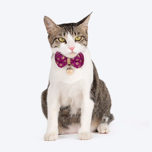 HUFT Brocade Dazzle Bow Tie With Strap For Cat - Purple - Heads Up For Tails