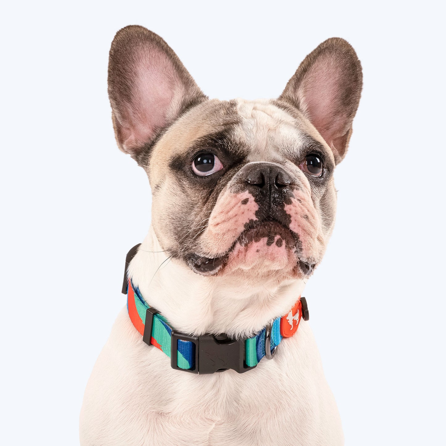 HUFT Wild Waves Printed Dog Collar - Heads Up For Tails