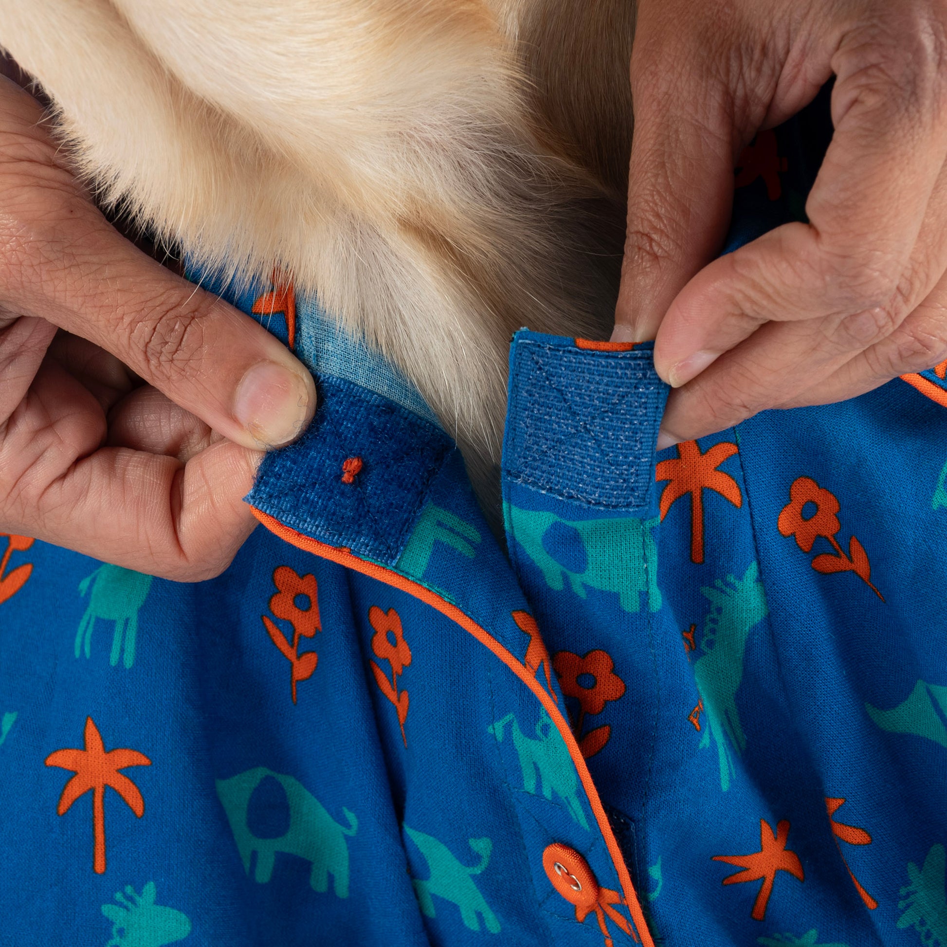 HUFT X Pinklay Jungle Joyride Shirt For Dog - Blue & Orange - Heads Up For Tails