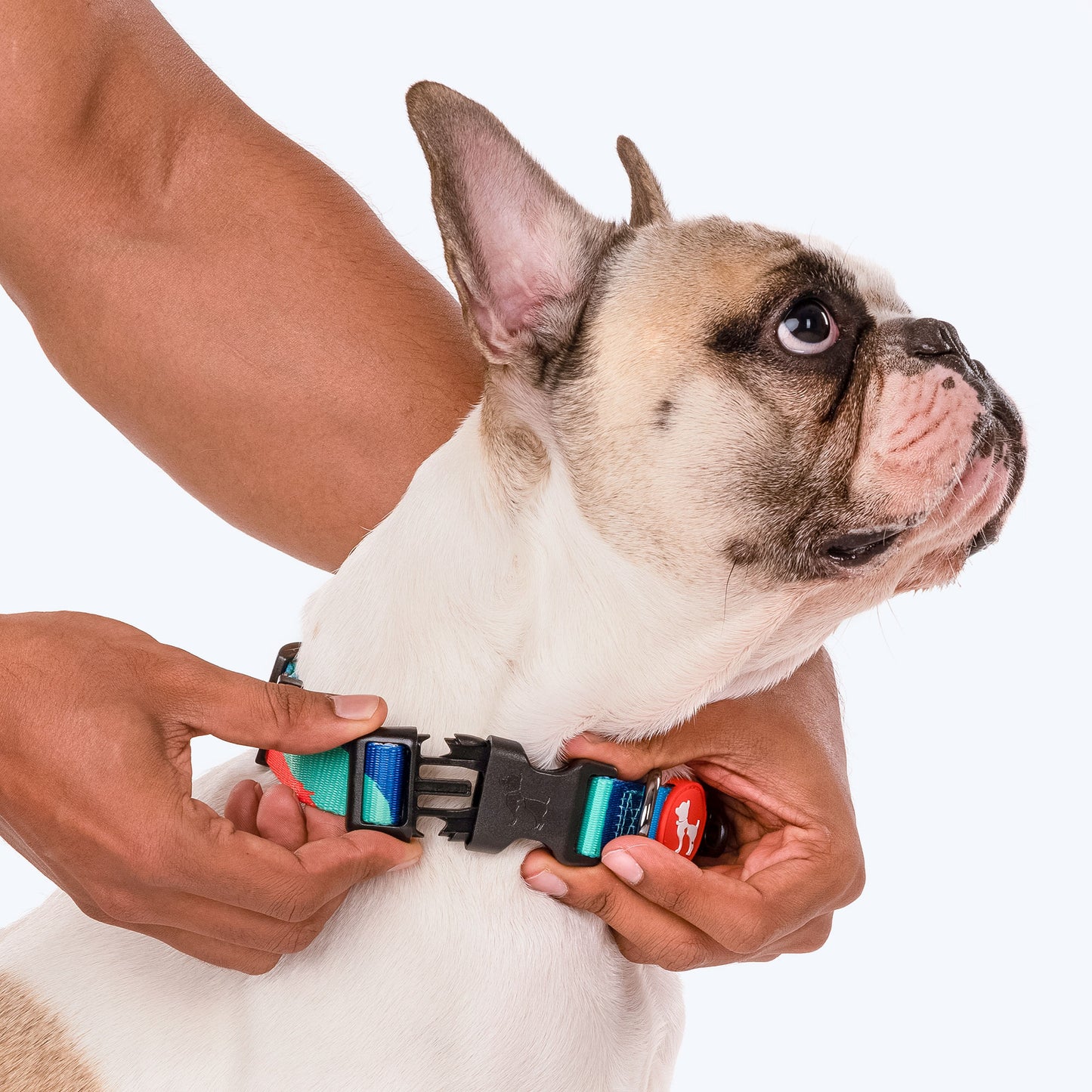 HUFT Wild Waves Printed Dog Collar - Heads Up For Tails