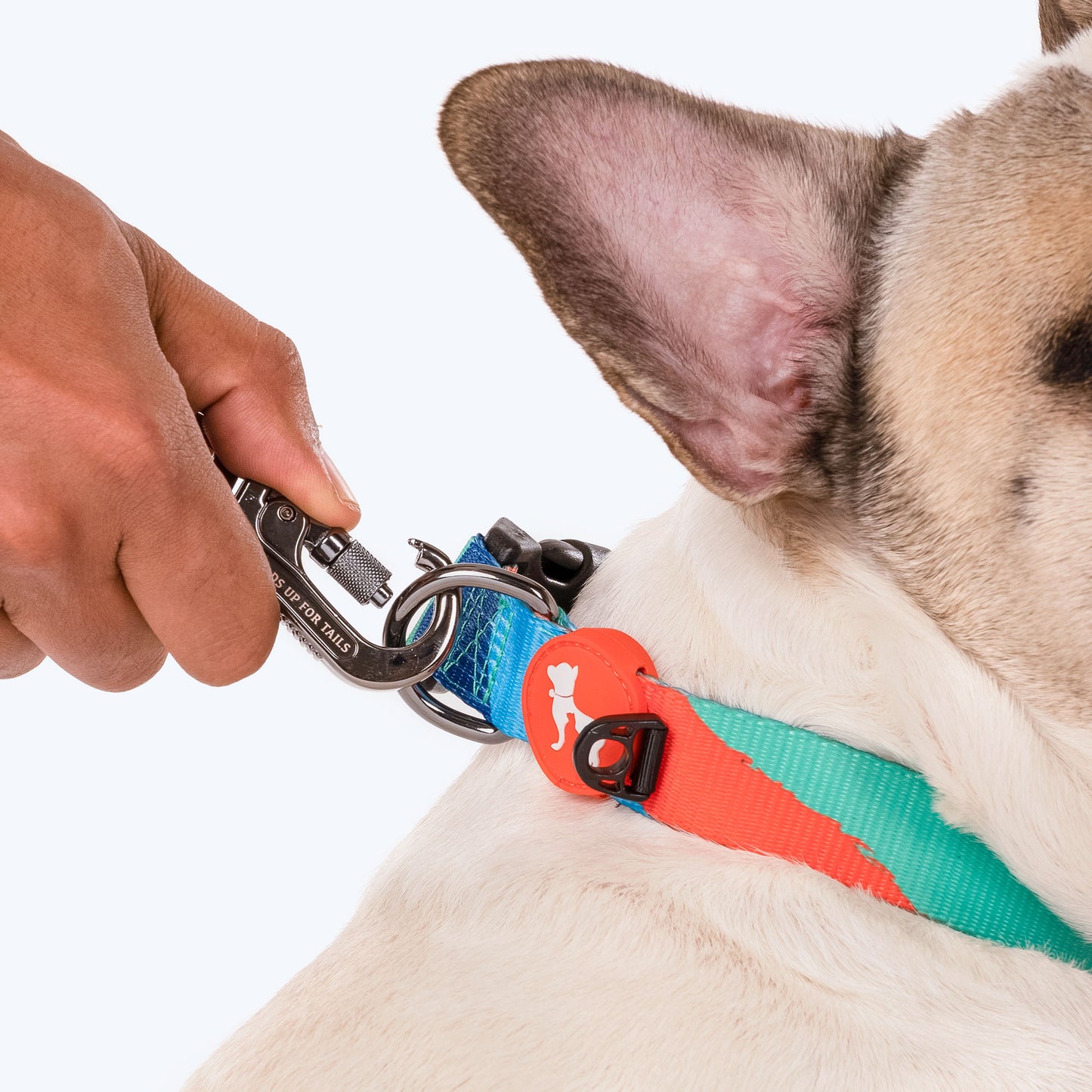 HUFT Wild Waves Printed Dog Collar - Heads Up For Tails