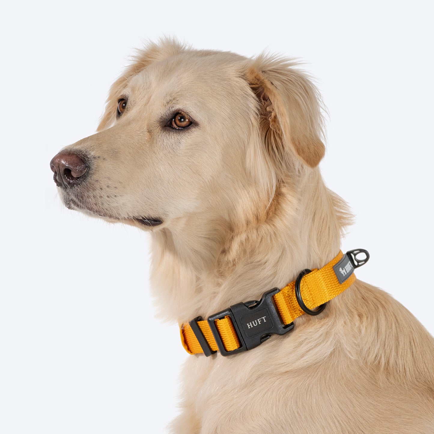 HUFT Personalised Basics (Mobile No.) Dog Collar - Yellow - Heads Up For Tails