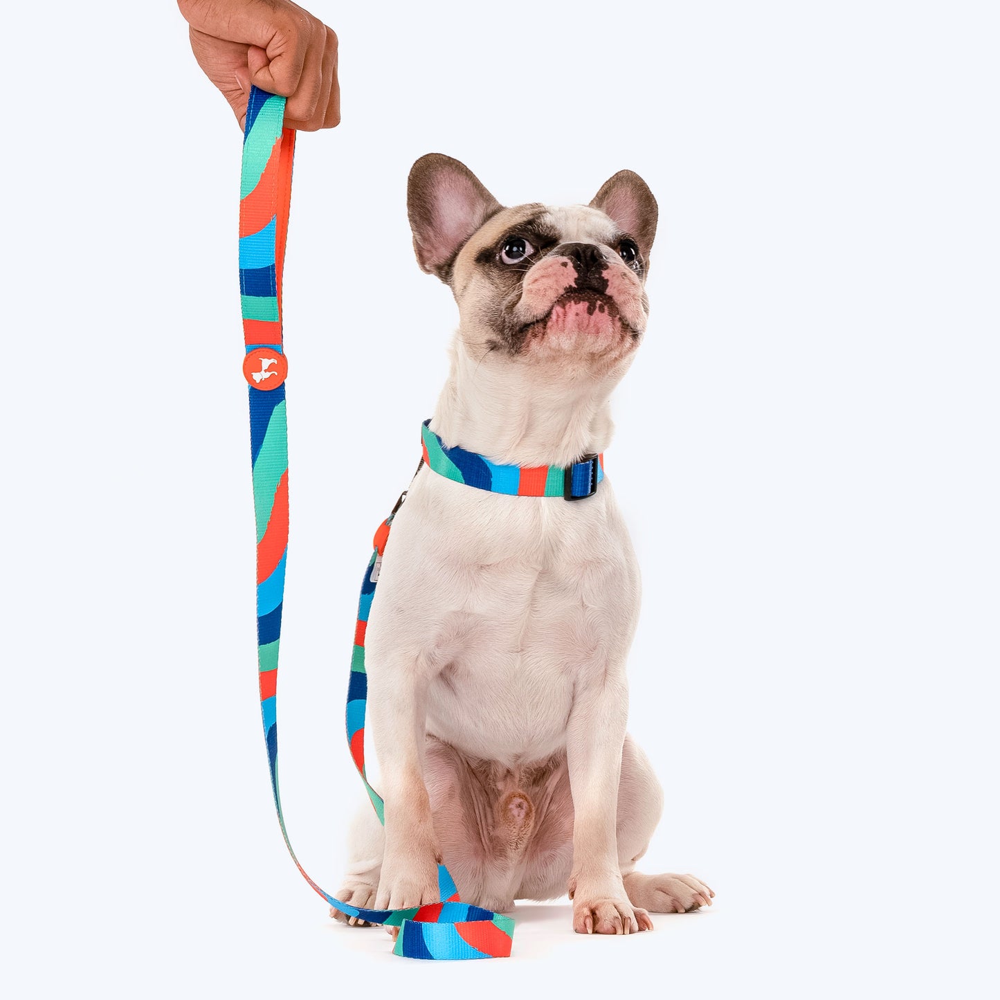 HUFT Wild Waves Printed Dog Leash - Heads Up For Tails