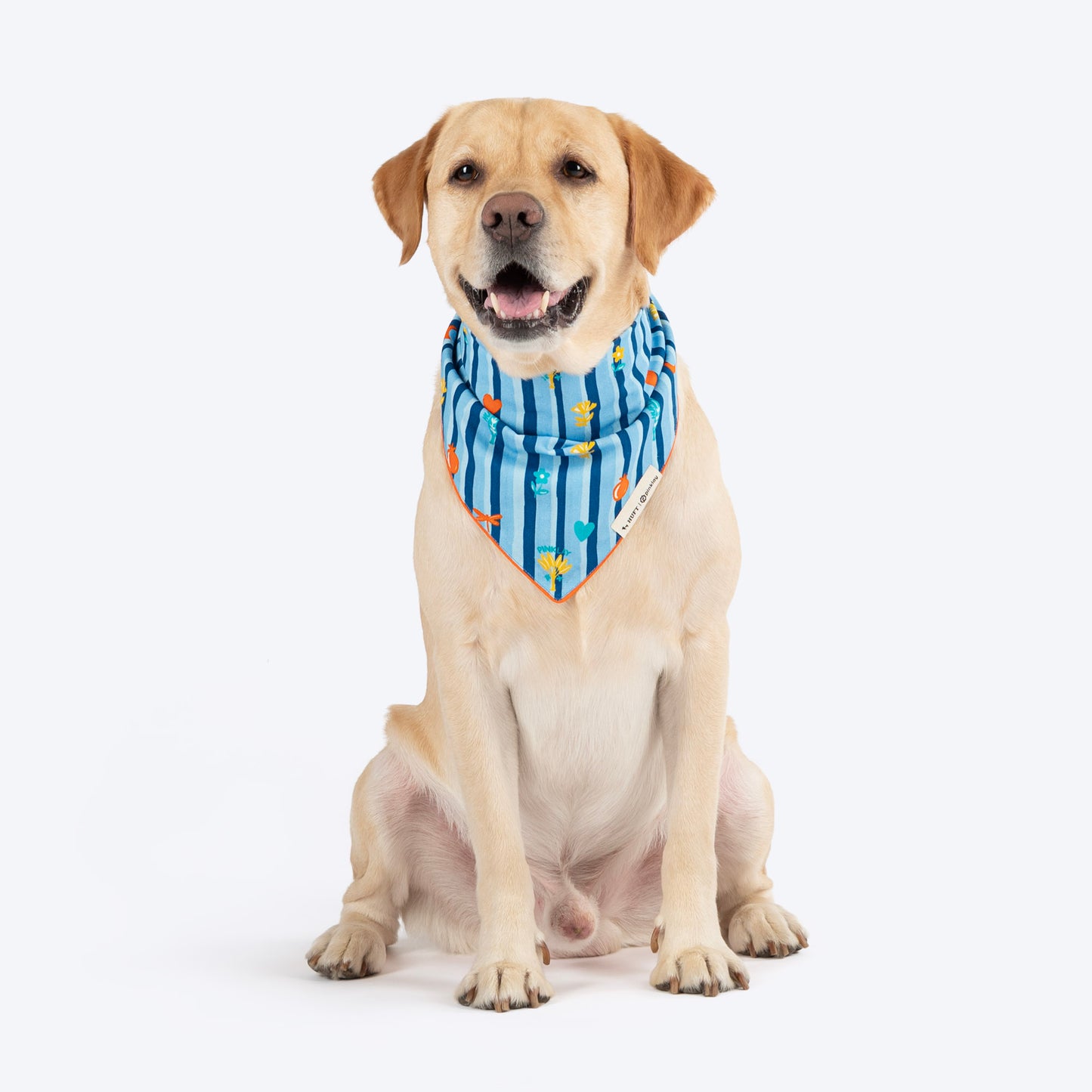 HUFT X Pinklay Jungle Joyride Knot Bandana For Dog - Blue & Orange - Heads Up For Tails