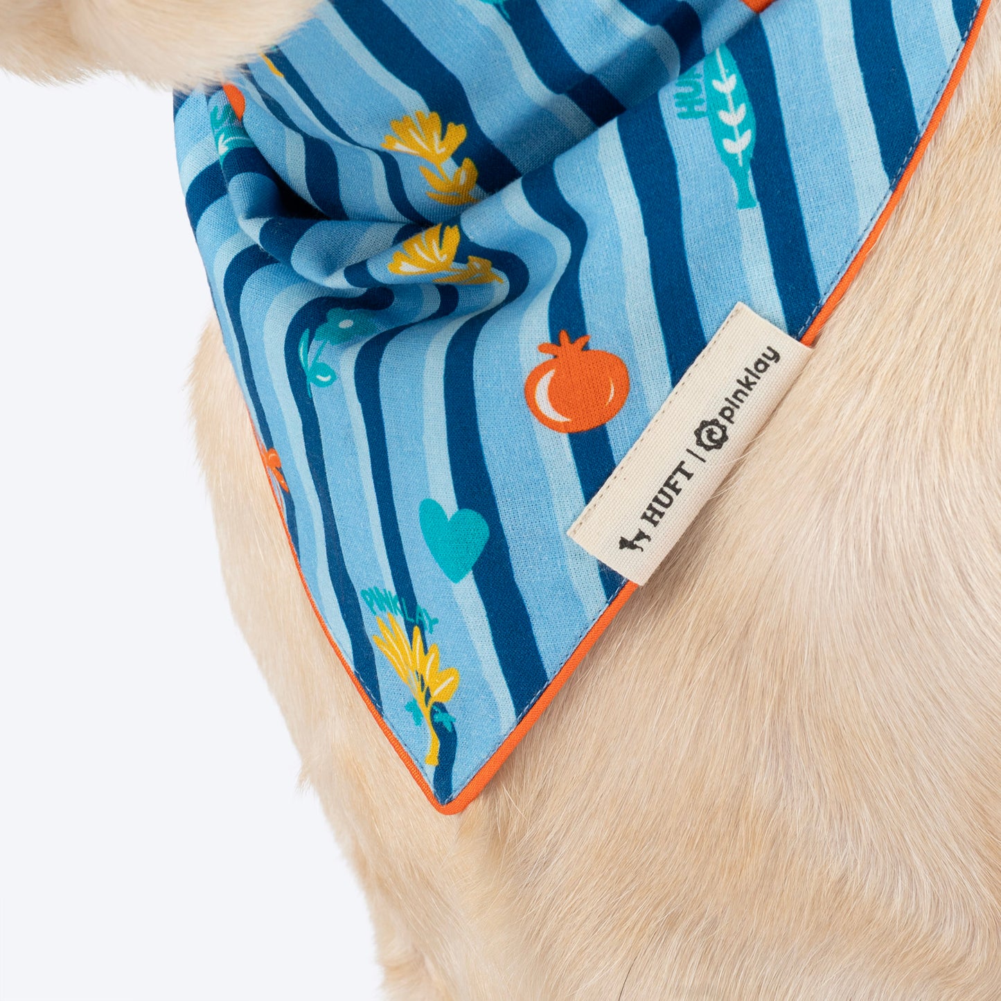 HUFT X Pinklay Jungle Joyride Knot Bandana For Dog - Blue & Orange - Heads Up For Tails