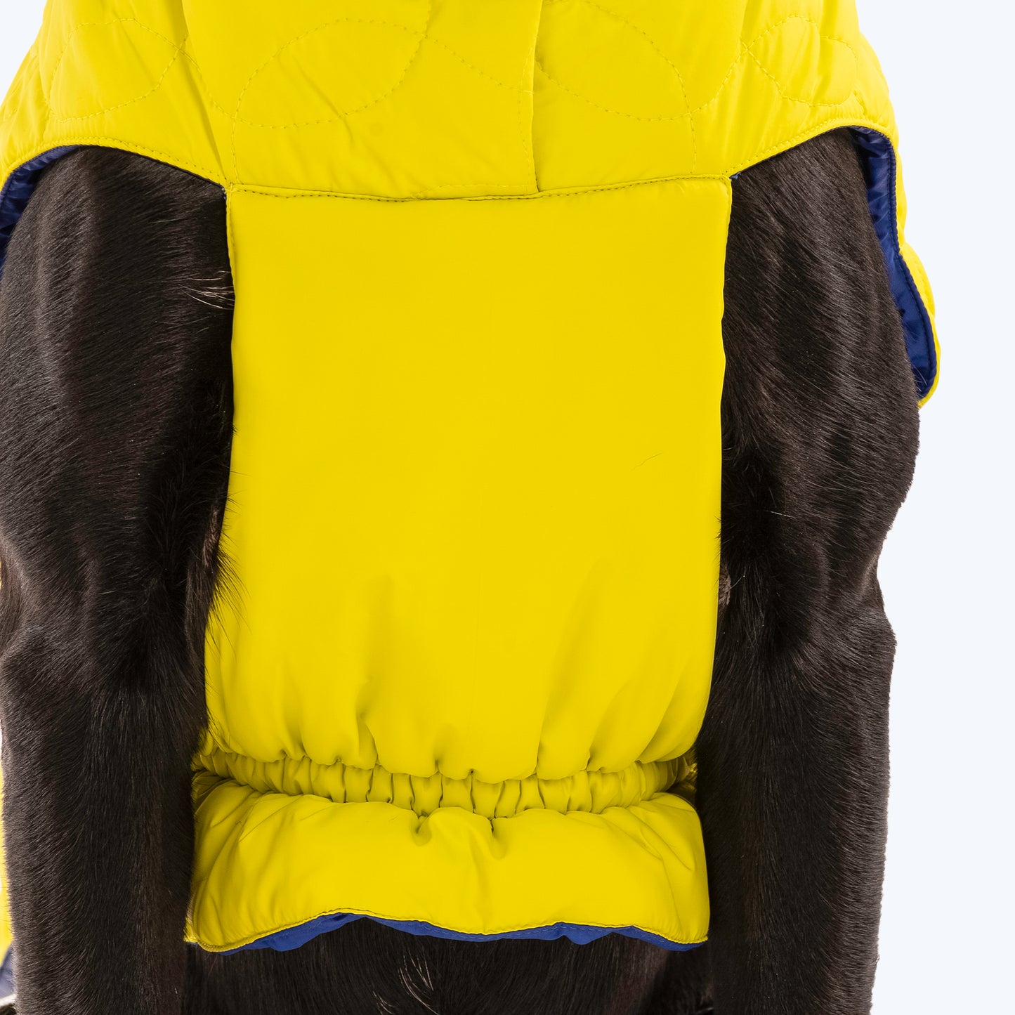 HUFT Cosy Pupper Reversible Dog Jacket - Lime Green - Heads Up For Tails