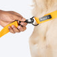 HUFT Personalised Basics Dog Collar - Yellow - Heads Up For Tails