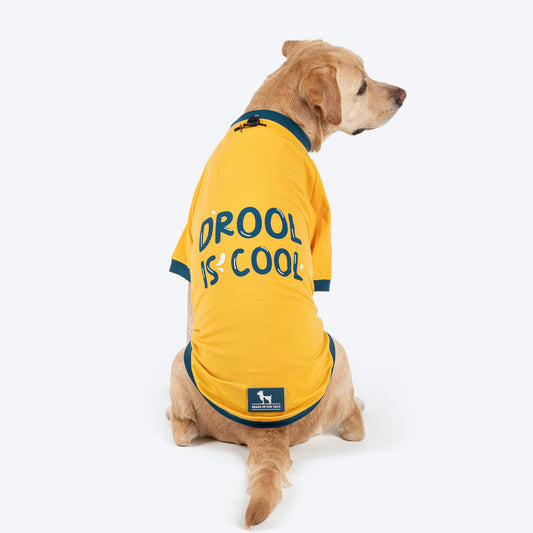 HUFT Drool Is Cool T-Shirt For Dog - Yellow - Heads Up For Tails