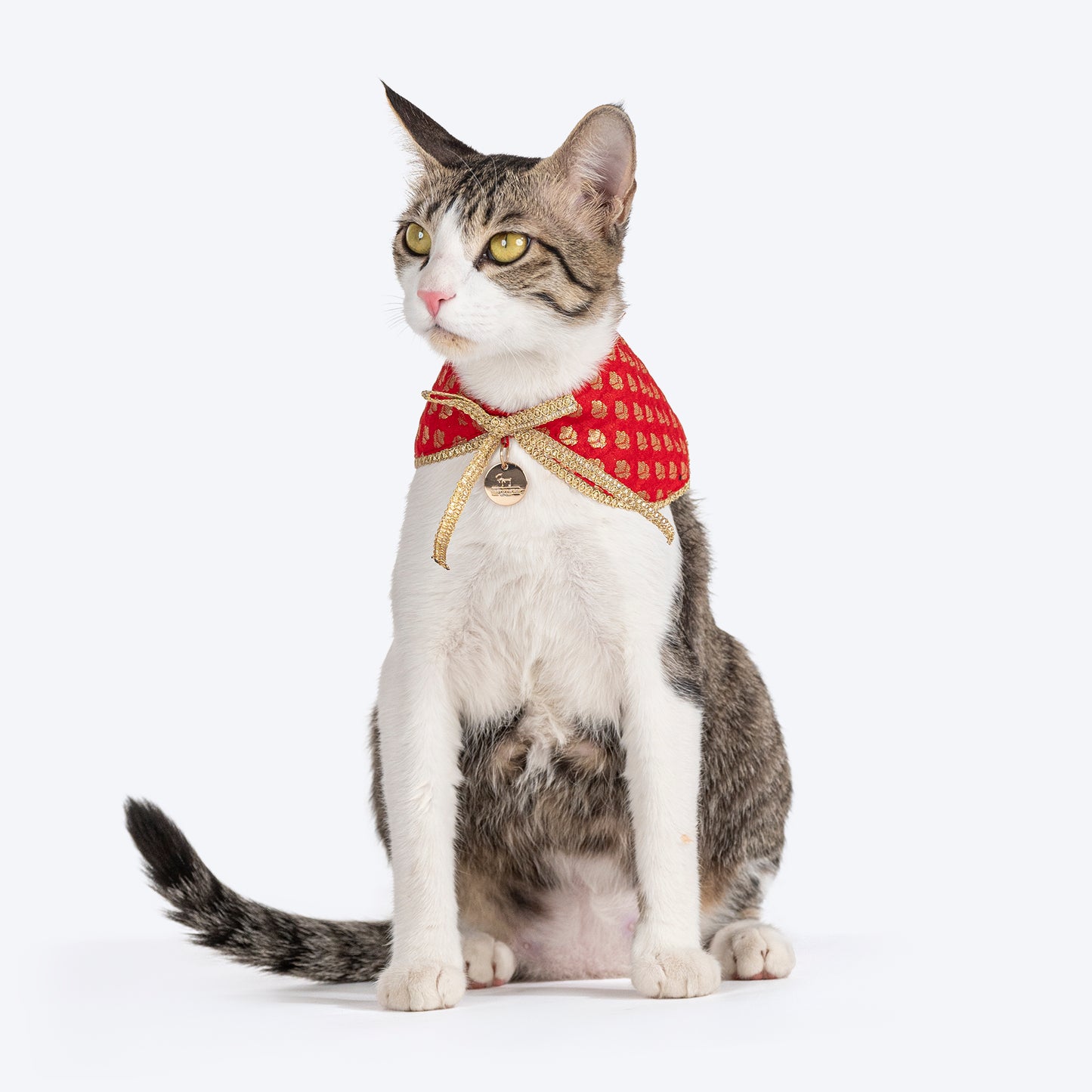 HUFT Brocade Dazzle Pet Scarf For Cat & Puppy - Red - Heads Up For Tails