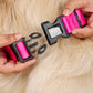 HUFT Personalised Basics (Mobile No.) Dog Collar - Pink - Heads Up For Tails