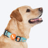 HUFT Jungle Safari Collar For Dog - Mint Green - Heads Up For Tails