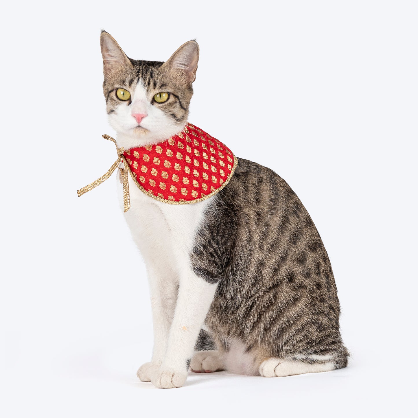 HUFT Brocade Dazzle Pet Scarf For Cat & Puppy - Red - Heads Up For Tails