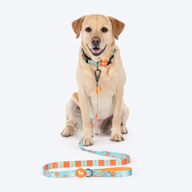 HUFT Jungle Safari Leash For Dog - Mint Green - Heads Up For Tails